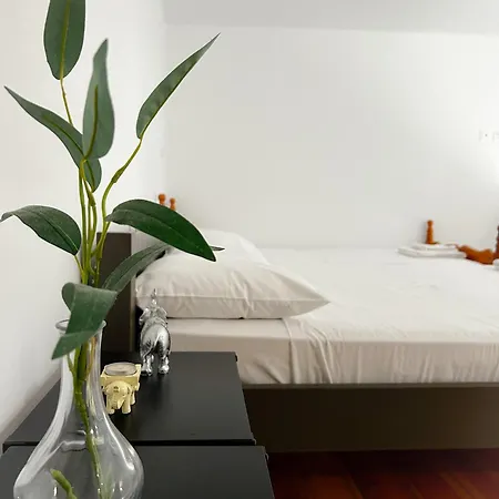 Apartment Loft