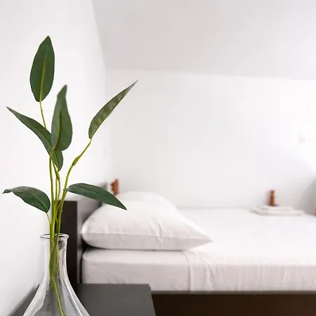 Apartment Loft